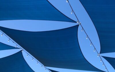 IMG_9379_zoom_800px /f/ vs. /v/