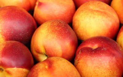 /ʧ/ as in “Peach”