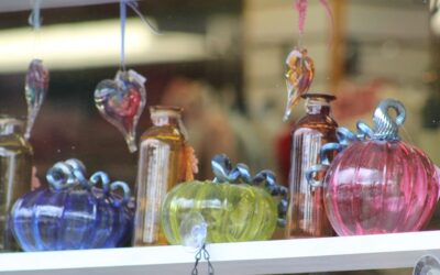 Student Participation Profiles