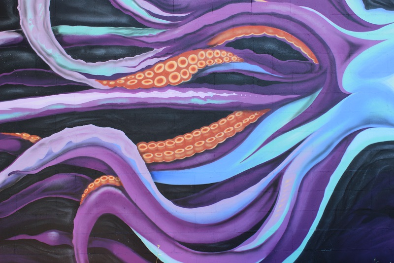 IMG_0369_800px IMG_0369_800px