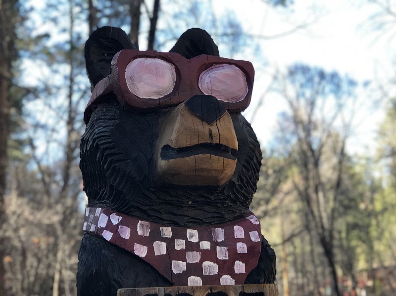 IMG_3113_cropped_800px IMG_3113_cropped_800px