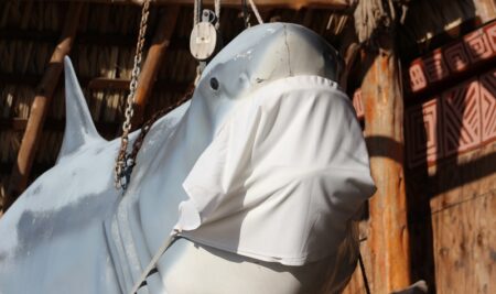 How to Pronounce COVID-19 Words